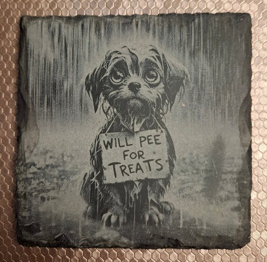 Slate coaster